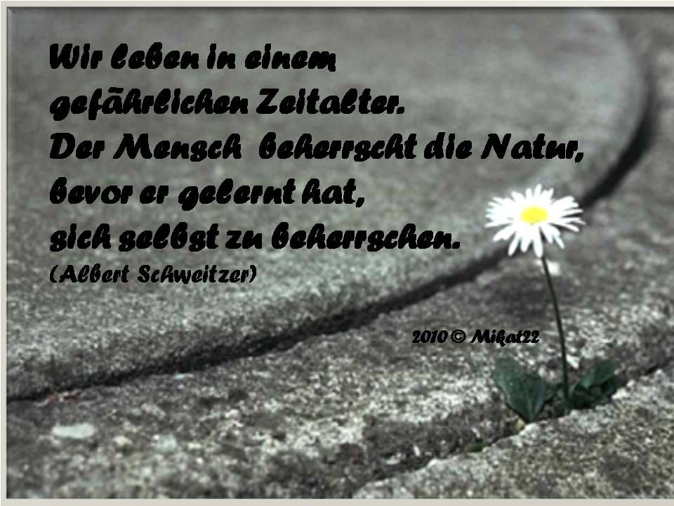 ext. Bild