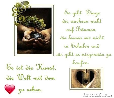 ext. Bild