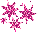 sterne