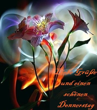ext. Bild