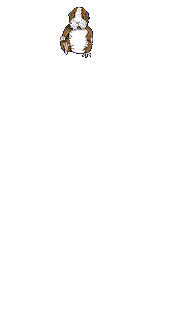 Mitglieder-Pic