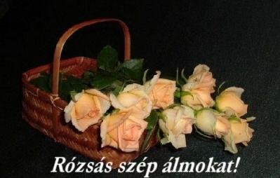 Kép