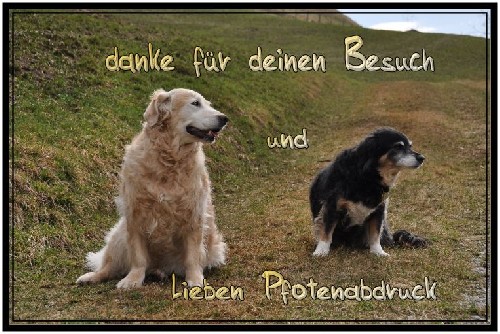 Bildergästebuch