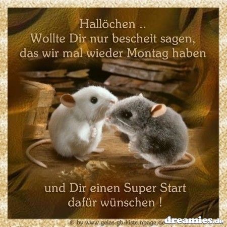 silke