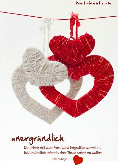 ext. Bild